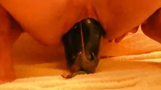 خوبصورتی سکس دختر ترکی ہم جنس پرست caresses میں مصروف ہیں.